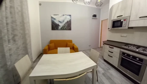 Helles Mehrbettzimmer in Turin zu vermieten