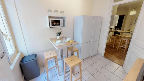 Renting rooms by the month in Lyon