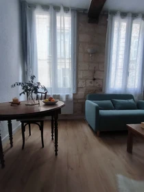 W pełni umeblowane mieszkanie w Avignon