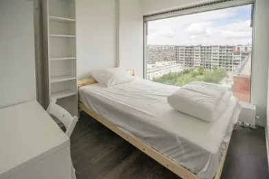 Room for rent in a shared flat in Amsterdam