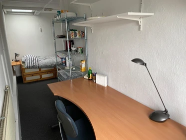 Bright private room in Enschede