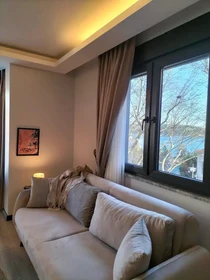 Appartement entièrement meublé à Istanbul
