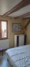Renting rooms by the month in Colmar