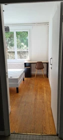 Chambre à louer dans un appartement en colocation à Clermont-ferrand