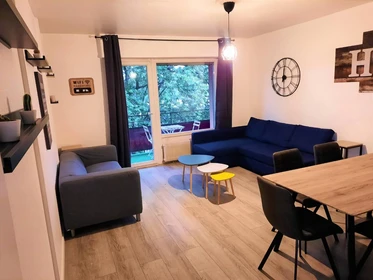 Stanza in affitto in appartamento condiviso a Mulhouse