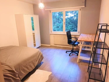 Mulhouse de çift kişilik yataklı kiralık oda