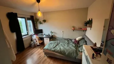 Renting rooms by the month in Delft
