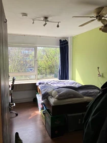 Room for rent with double bed Delft