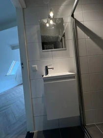 Entire fully furnished flat in Groningen