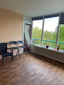 Alquiler de habitaciones por meses en Utrecht