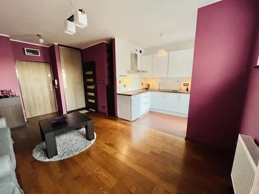 Mieszkanie z 2 sypialniami w Poznań