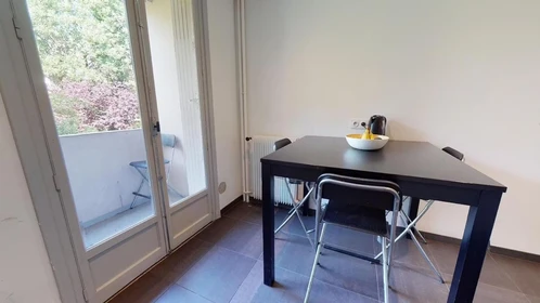 Room for rent in a shared flat in Lyon