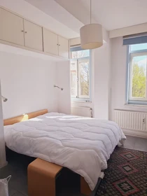 Entire fully furnished flat in Amsterdam