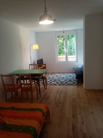 Luminoso monolocale in affitto a Mannheim