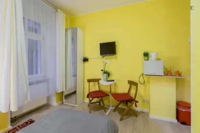 Very bright studio for rent in Berlin
