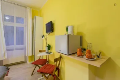 Very bright studio for rent in Berlin