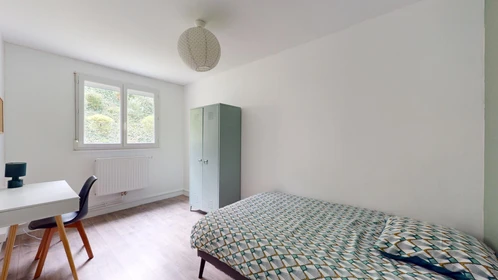 Room for rent in a shared flat in Rouen