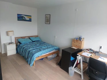 Alquiler de habitación en piso compartido en Amsterdam