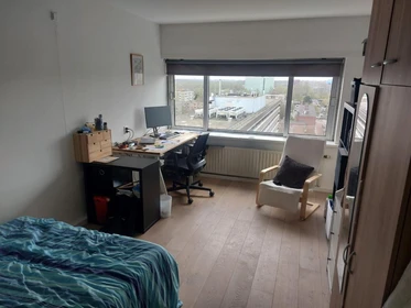 Alquiler de habitación en piso compartido en Amsterdam