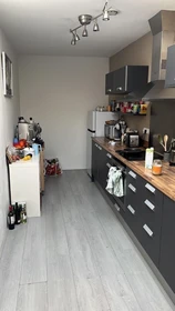 Alquiler de habitaciones por meses en Amsterdam