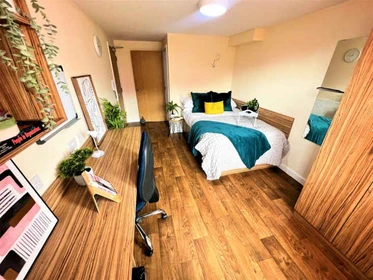 Bright private room in Chester