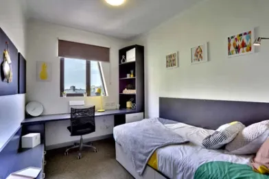 Brisbane de çift kişilik yataklı kiralık oda