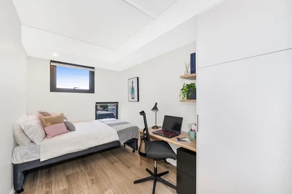 Room for rent in a shared flat in Adelaide
