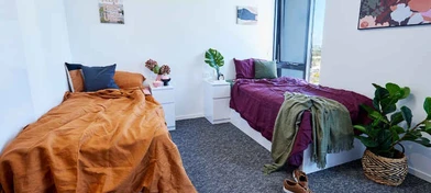 Luminosa stanza condivisa in affitto a Sydney