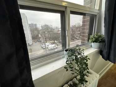 Toronto de ortak bir dairede kiralık oda