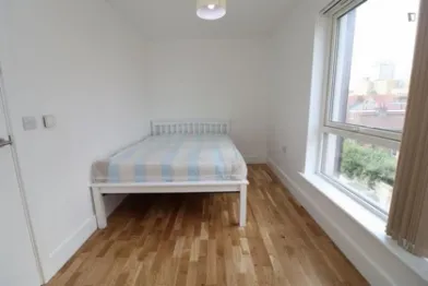 Pokój do wynajęcia we wspólnym mieszkaniu w Londyn