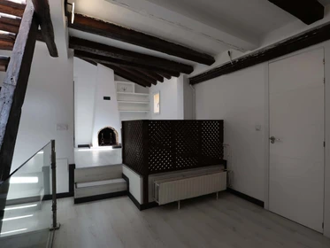 Bright private room in Madrid