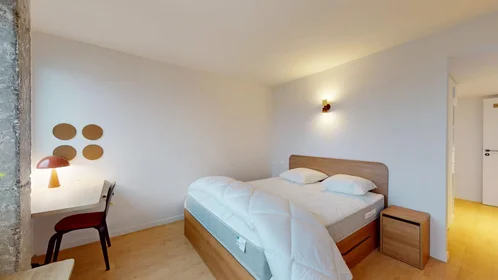 Gesamte Unterkunft in der Rue Cambronne, 15th Arrondissement, bild 9 von 10