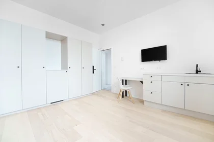 Stanza privata in Kwekerijstraat, Borgerhout, immagine 2 di 10