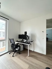Logement entier à Zamenhofstraat, Regentessekwartier, image 5 de 10