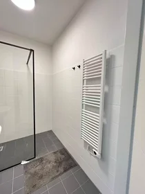 Logement entier à Zamenhofstraat, Regentessekwartier, image 7 de 10