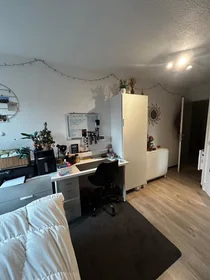 Habitación privada en Ottergemsesteenweg, Nieuw Gent-Uz, imagen 5 de 7