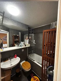 Habitación privada en Ottergemsesteenweg, Nieuw Gent-Uz, imagen 7 de 7