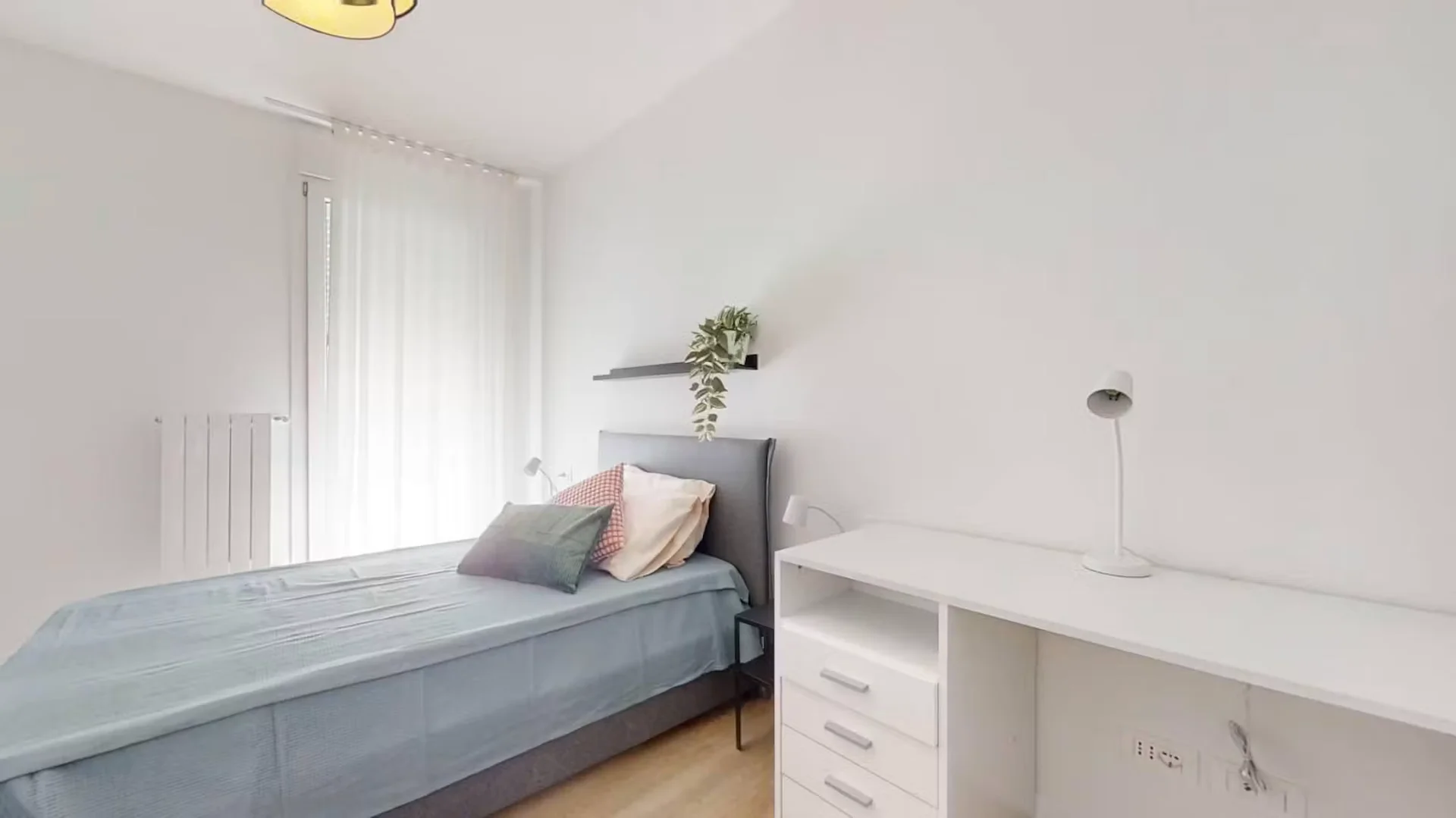 Stanza economica per studenti con ampia illuminazione in 