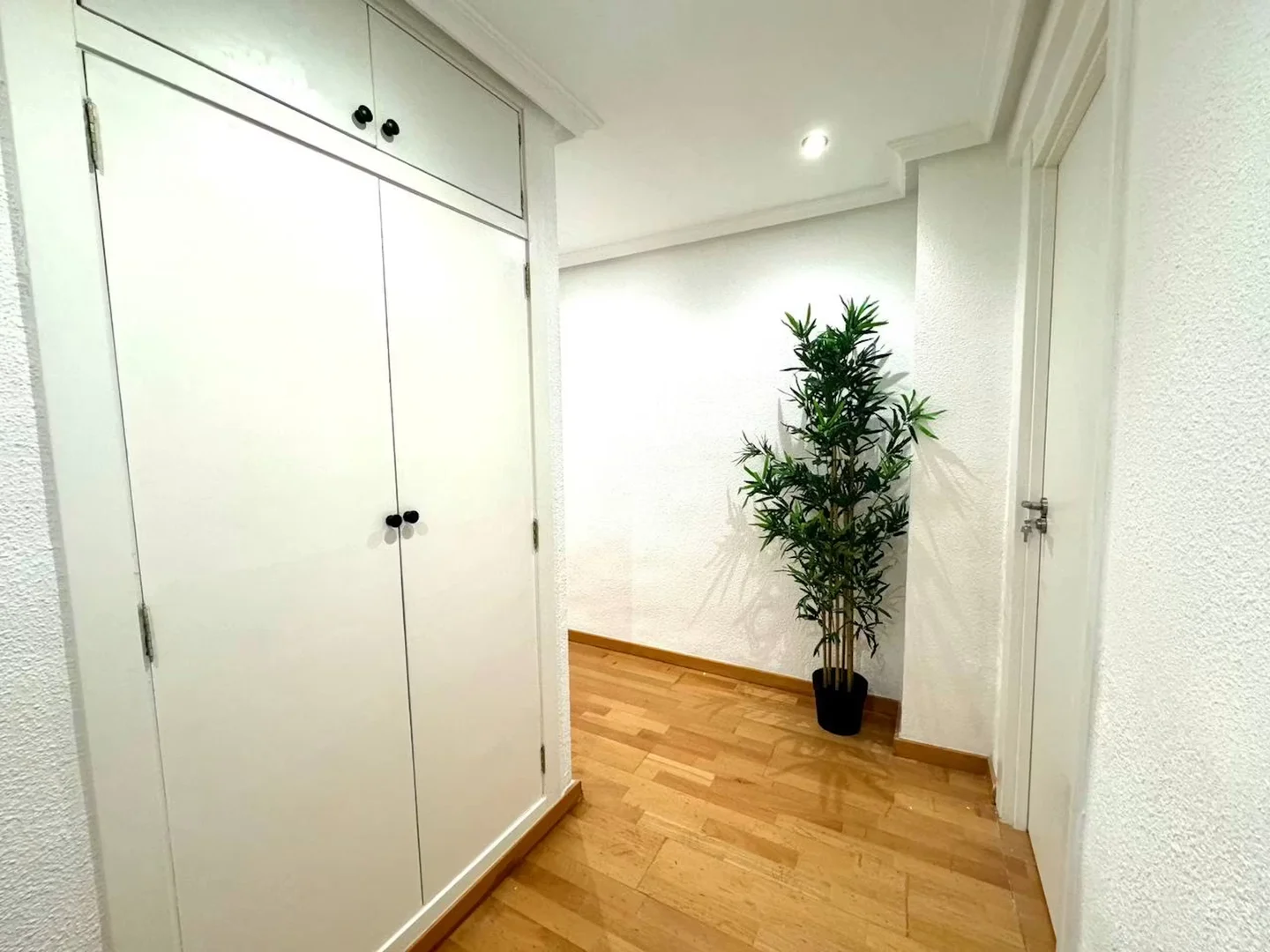 Student-friendly room in  with modern amenities