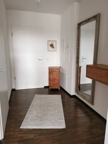 Cheap private room in Freiburg Im Breisgau