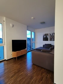Room for rent with double bed Freiburg Im Breisgau