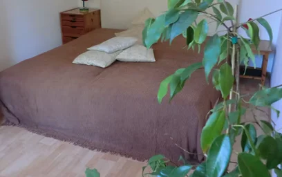 Dairenin tamamı konumu Plauener Straße, Mitte, 5 9 görüntüsü