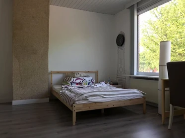 Bright private room in The Hague