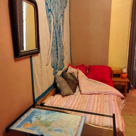 Pokój do wynajęcia we wspólnym mieszkaniu w Nicea