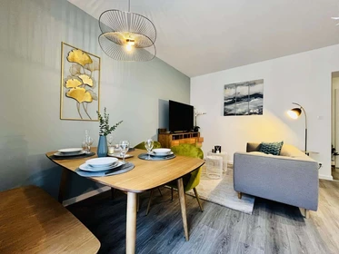 Alquiler de habitaciones por meses en Estrasburgo