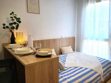 Private room in residence at St Martin d'Hères, 38400, image 6 of 19