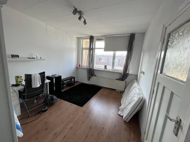 Very bright studio for rent in Rotterdam