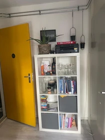 Room for rent in a shared flat in Enschede