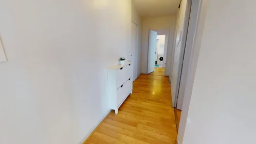 Stanza privata in Rue Paul Cazeneuve, 8th Arrondissement, immagine 9 di 10
