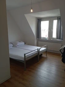 Entire fully furnished flat in Leipzig